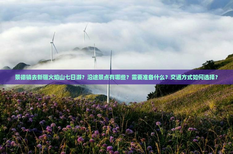 景德镇去新疆火焰山七日游
