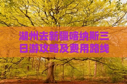 湖州去新疆喀纳斯三日游