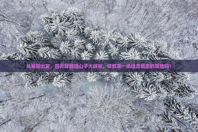 襄阳到新疆独山子大峡谷四日游