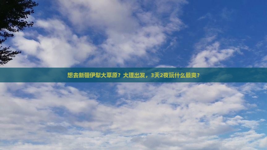 大理到新疆伊犁大草原旅行社