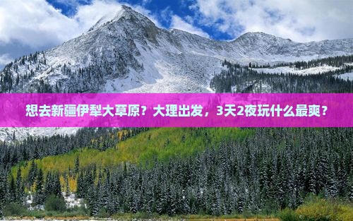 大理到新疆伊犁大草原旅行社