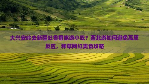 大兴安岭去新疆吐鲁番旅游小吃