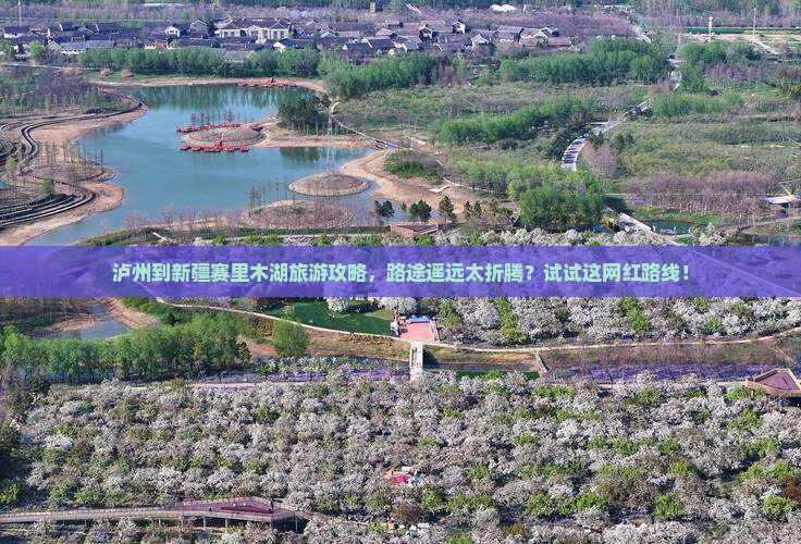 泸州去新疆赛里木湖哪里玩