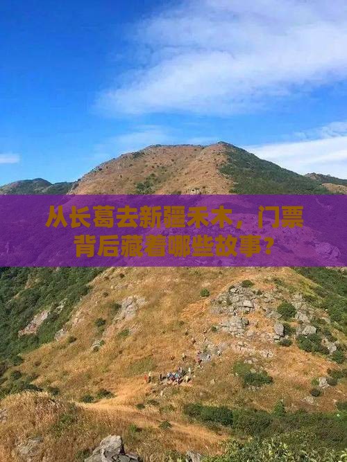 长葛到新疆禾木门票