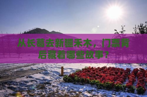 长葛到新疆禾木门票