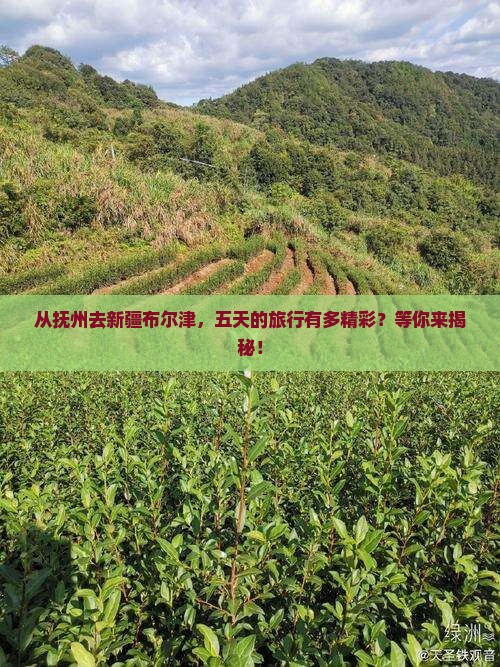 抚州到新疆布尔津五日游