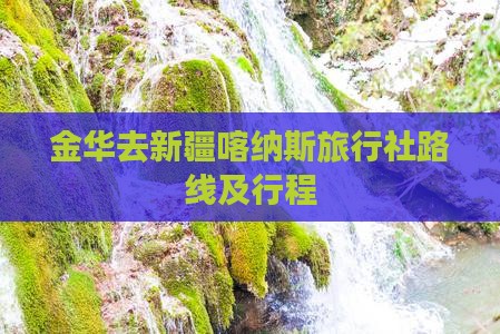 金华去新疆喀纳斯旅行社