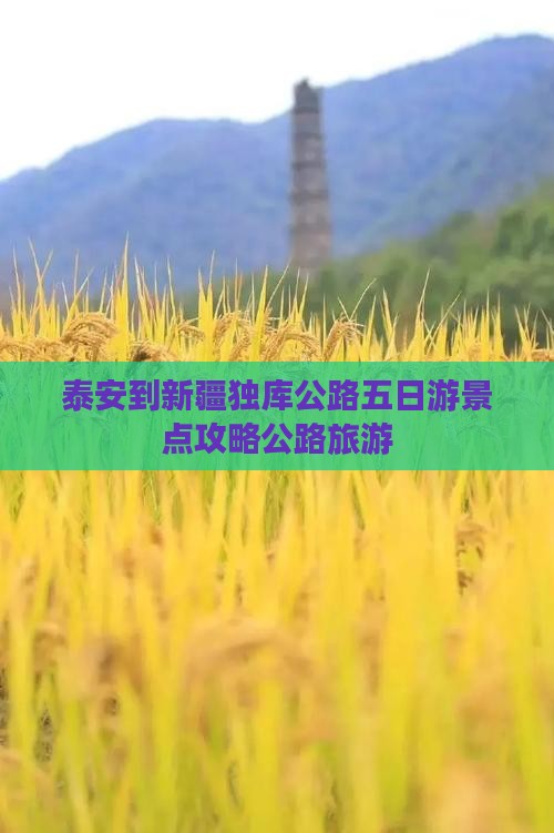 泰安到新疆独库公路五日游