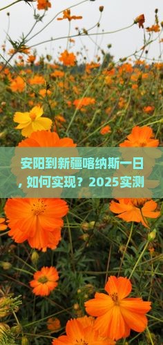 安阳到新疆喀纳斯一日
