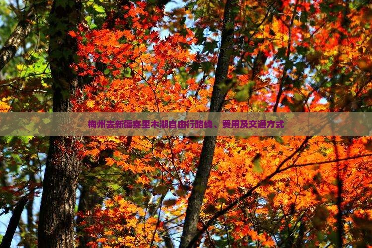 梅州去新疆赛里木湖自由行
