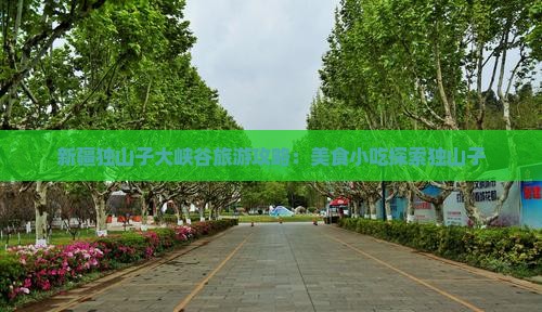 仙桃到新疆独山子大峡谷旅游小吃