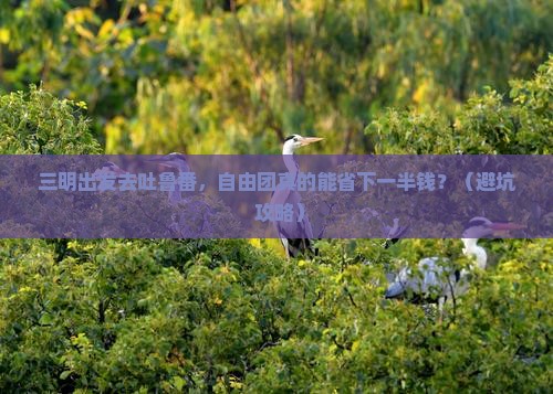 三明到新疆吐鲁番自由团