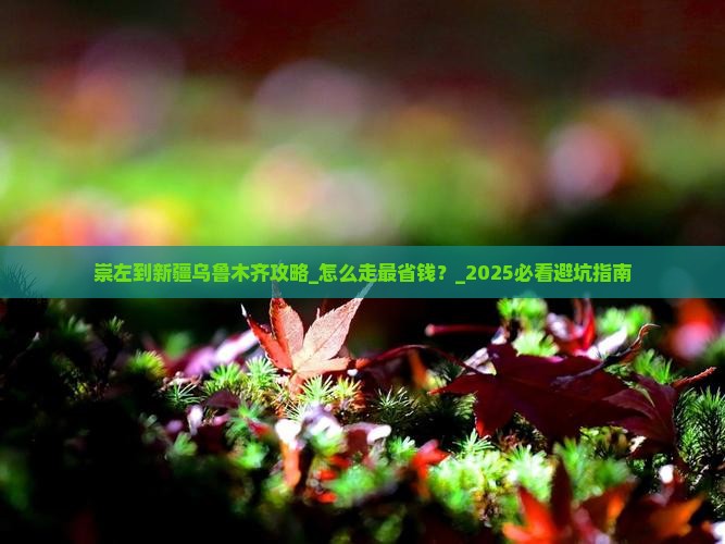 崇左到新疆乌鲁木齐攻略