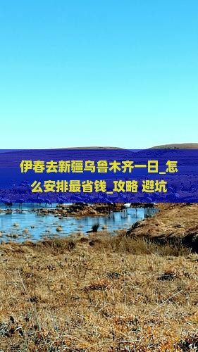 伊春去新疆乌鲁木齐一日