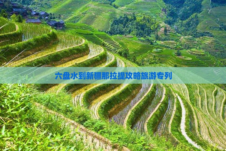 六盘水到新疆那拉提攻略