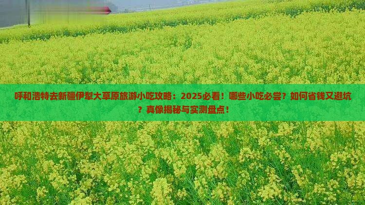 呼和浩特去新疆伊犁大草原旅游小吃