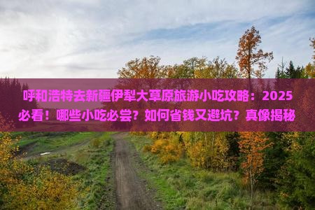 呼和浩特去新疆伊犁大草原旅游小吃