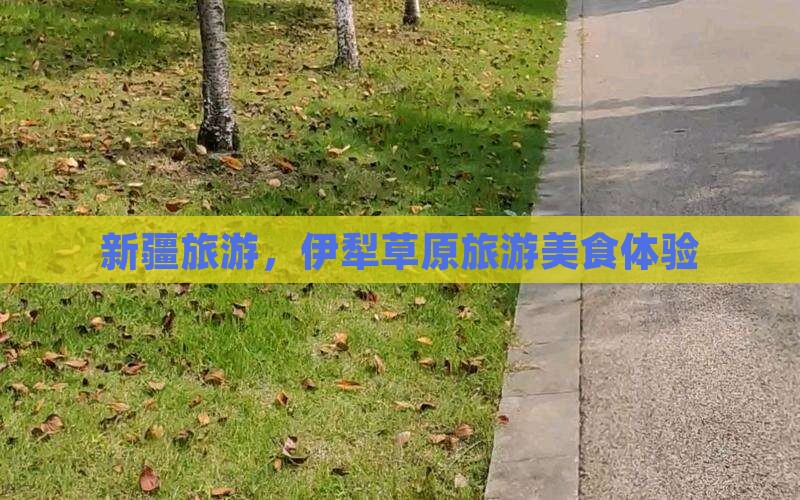 晋城去新疆伊犁大草原旅游小吃