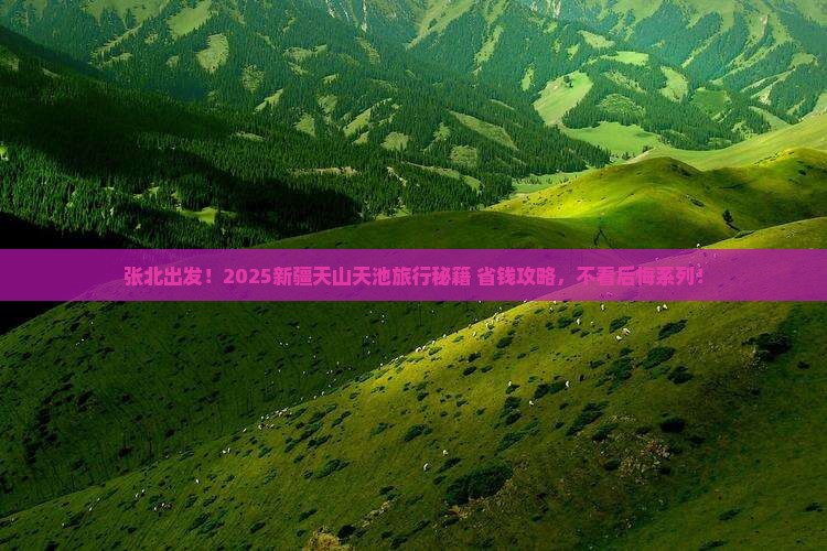 张北去新疆天山天池旅行社