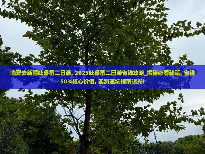 临夏去新疆吐鲁番二日游