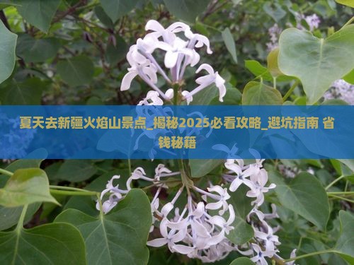 夏天去新疆火焰山景点