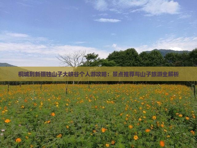 桐城到新疆独山子大峡谷个人游