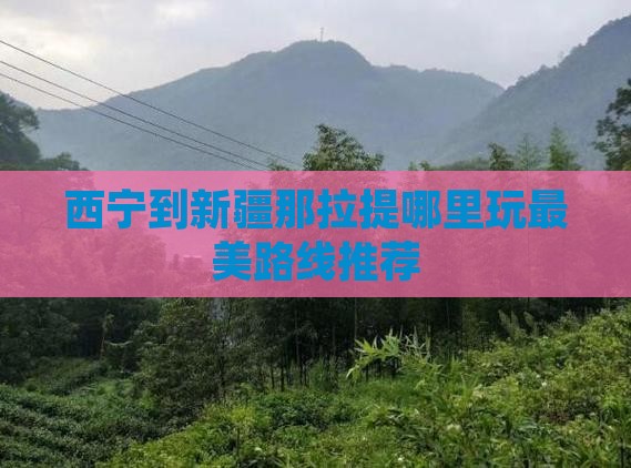 西宁到新疆那拉提哪里玩