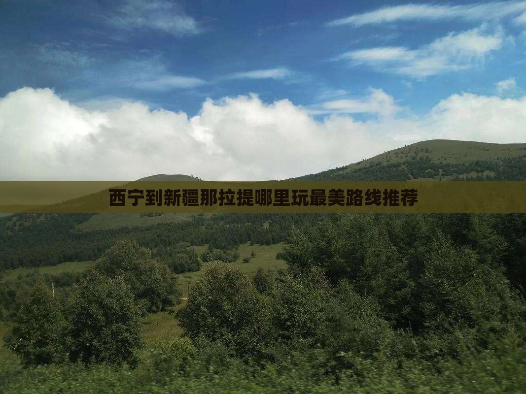 西宁到新疆那拉提哪里玩
