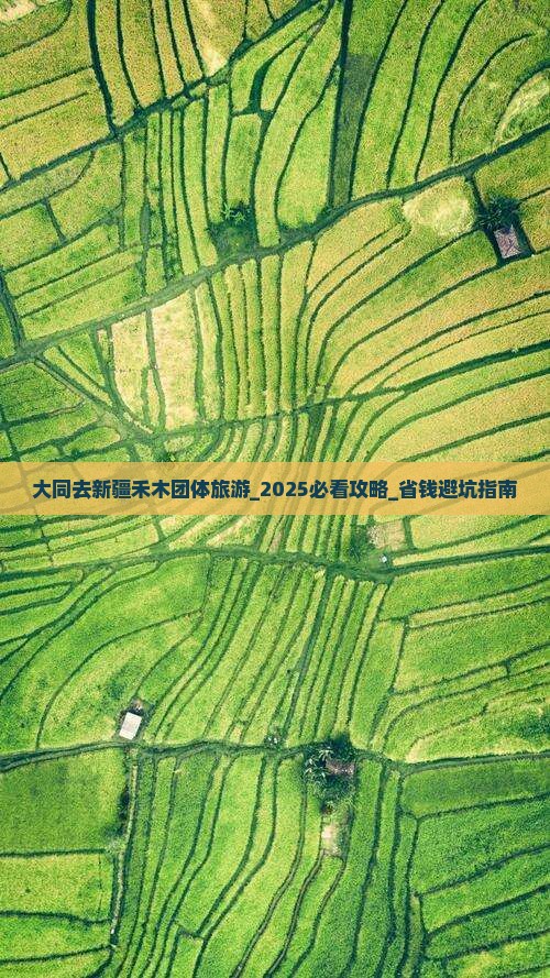 大同去新疆禾木团体旅游