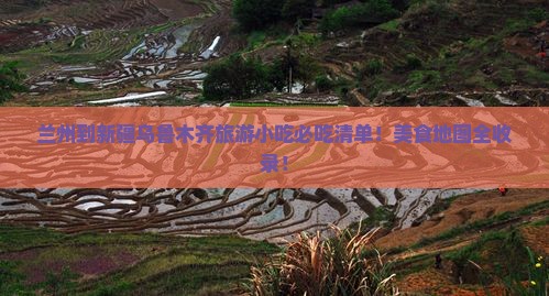 兰州到新疆乌鲁木齐旅游小吃