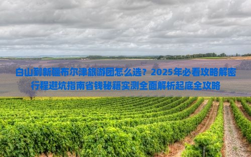 白山到新疆布尔津大型旅游团