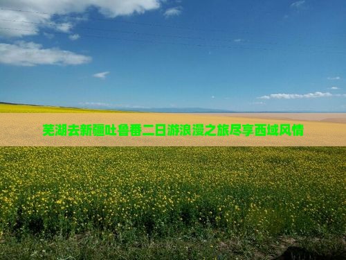 芜湖去新疆吐鲁番二日游
