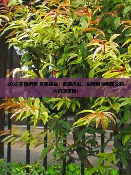 蚌埠到新疆独库公路六日游