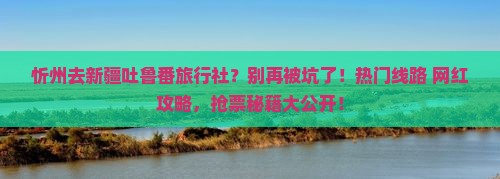 忻州去新疆吐鲁番旅行社