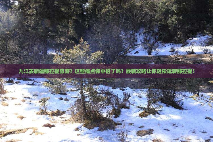 九江去新疆那拉提旅游
