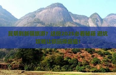 昆明到新疆旅游