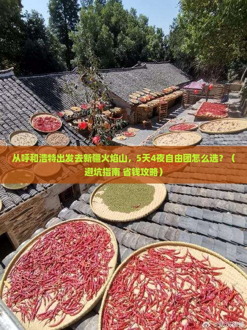 呼和浩特去新疆火焰山自由团