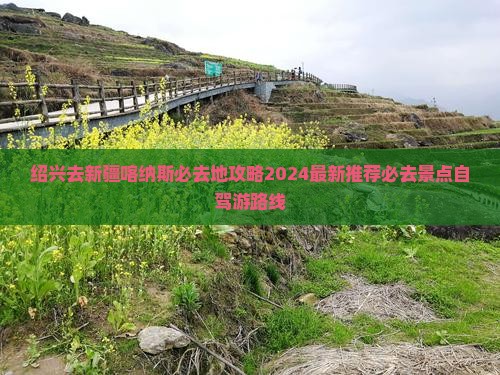 绍兴去新疆喀纳斯必去地