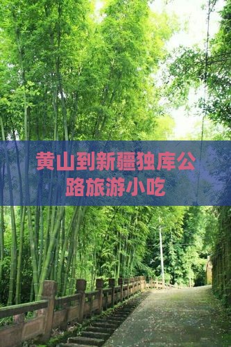 黄山到新疆独库公路旅游小吃