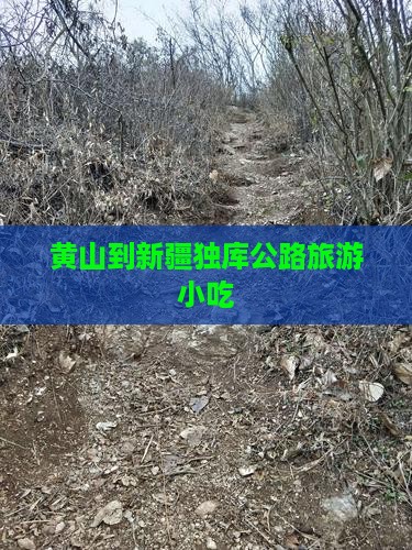 黄山到新疆独库公路旅游小吃