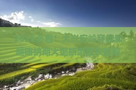 大兴安岭去新疆喀纳斯大型旅游团
