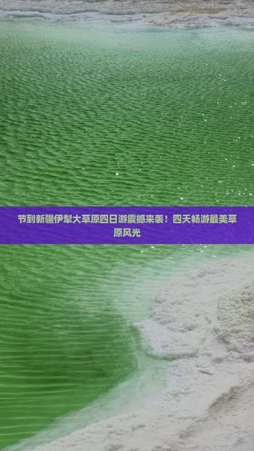 国庆节到新疆伊犁大草原四日游