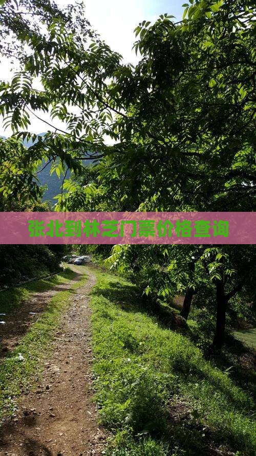 张北到林芝门票价格查询