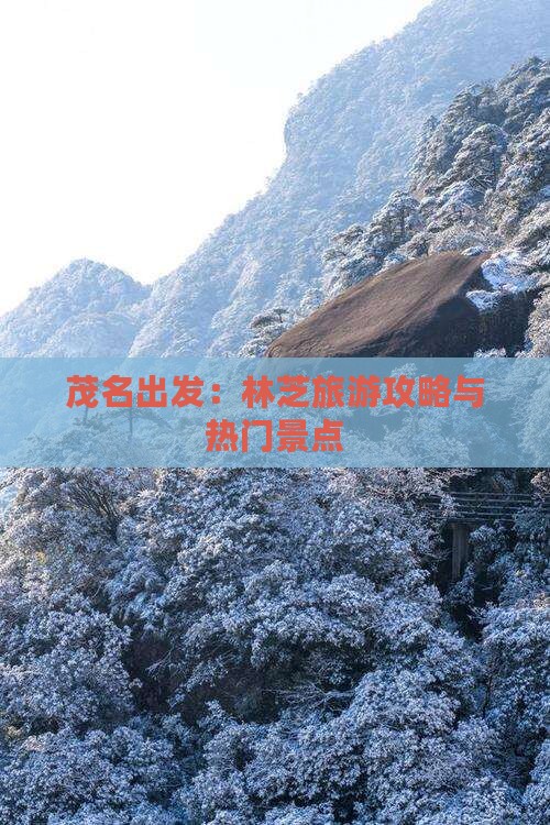 茂名出发：林芝旅游攻略与热门景点