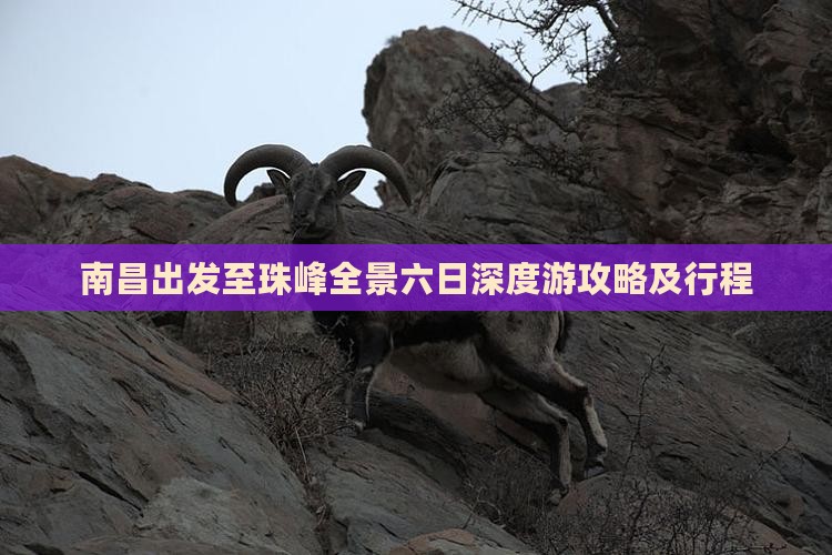 南昌出发至珠峰全景六日深度游攻略及行程