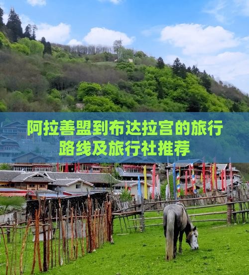 阿拉善盟到布达拉宫的旅行路线及旅行社推荐