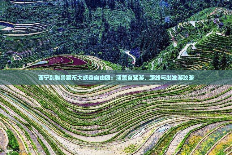 西宁到雅鲁藏布大峡谷自由团：涵盖自驾游、路线与出发游攻略
