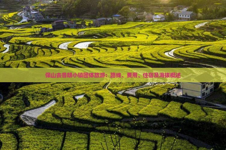 保山去鲁朗小镇团体旅游：路线、费用、住宿及海拔概述