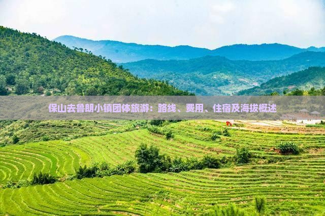 保山去鲁朗小镇团体旅游：路线、费用、住宿及海拔概述
