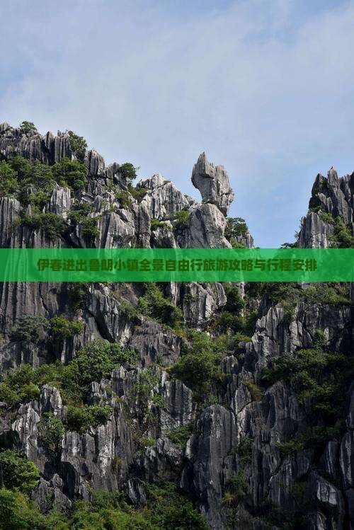 伊春进出鲁朗小镇全景自由行旅游攻略与行程安排
